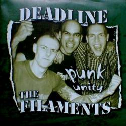 The Filaments : Punk Unity